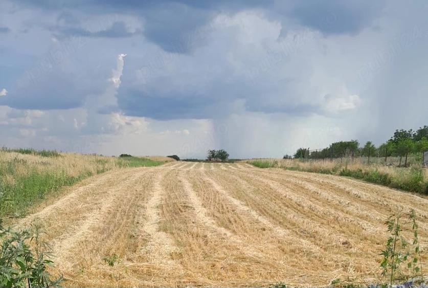 Teren de 3690 mp, în Poiana Mare