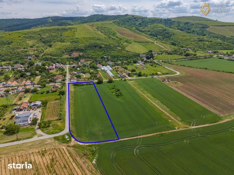 Teren de 6400 mp, în Ghioroc