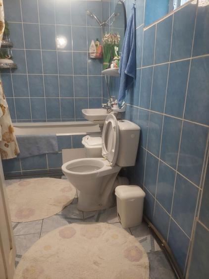 Vand casa Dancu . - 7