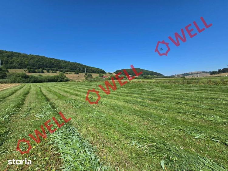Teren de 3450 mp, în Valea Mare