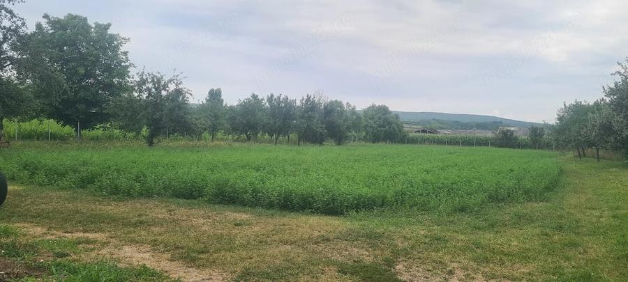 Casă cu Teren 44 Mp în Chiuza