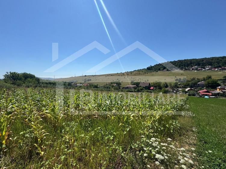 Teren agricol intravilan de 1735 mp, în Remetea