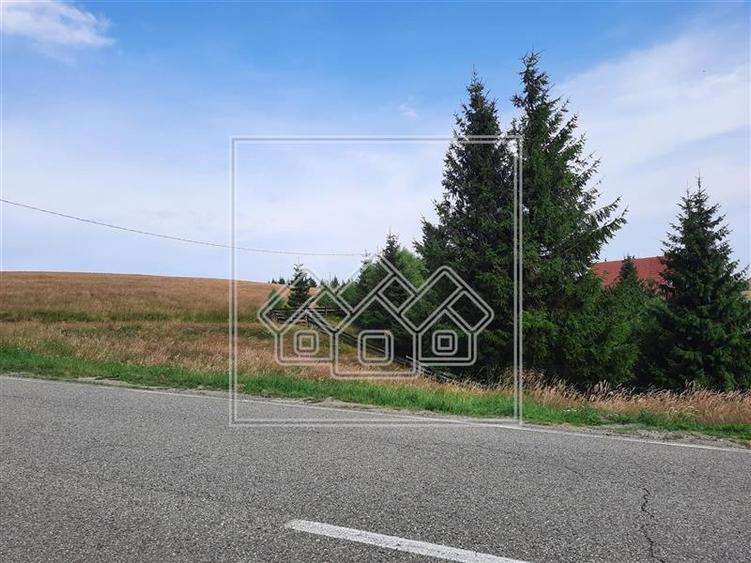 Teren Construcții intravilan de 800 mp, în Păltiniș