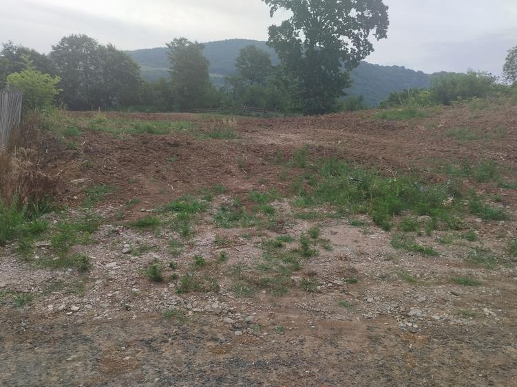 Teren de 1950 mp, în Pianu