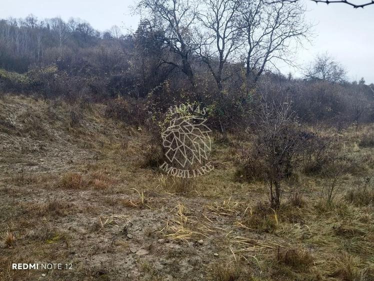 Teren Construcții extravilan de 1000 mp, în Sud-Est