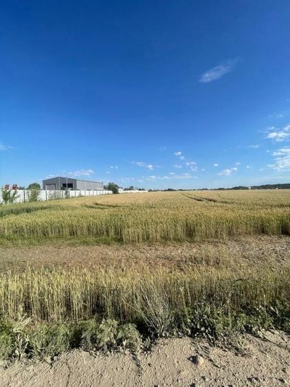 Teren Construcții intravilan de 6750 mp, în Exterior Sud