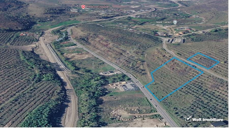 Teren Construcții intravilan de 11600 mp, în Baciu