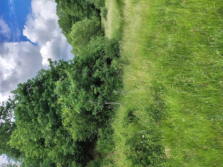 Casă cu Teren 20000 Mp în Vârfurile