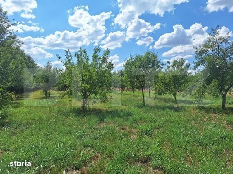 Teren intravilan, 4600 mp, dezvoltari imobiliare, Timisoara - 4
