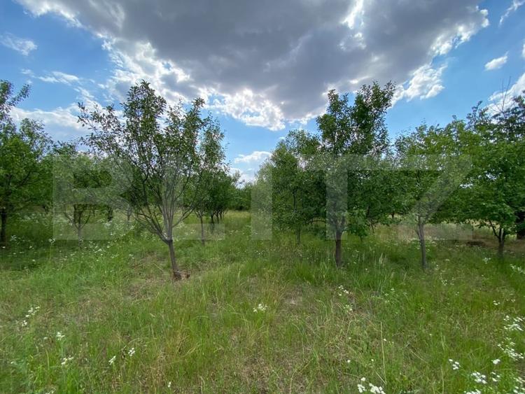 Casă individuală cu 4 camere cu Teren 1275 Mp în Seceani