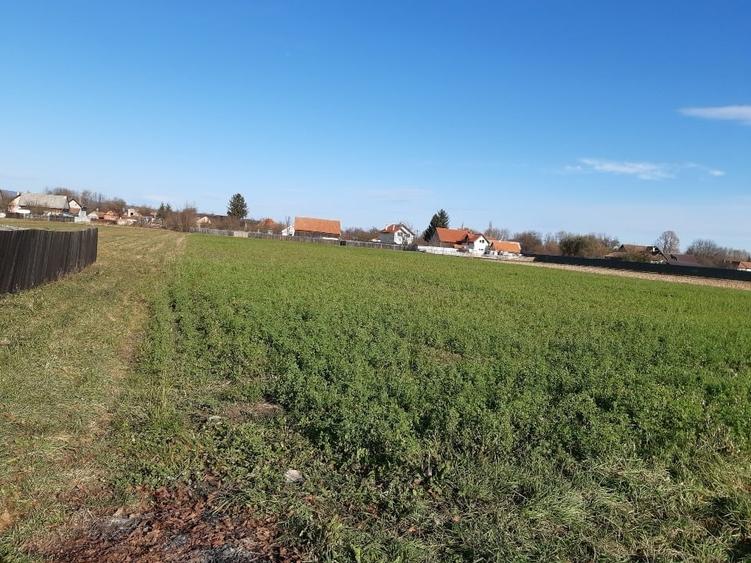 Vand teren intravilan construibil asfalt utilitati Lunca Calnicului Brasov - 7