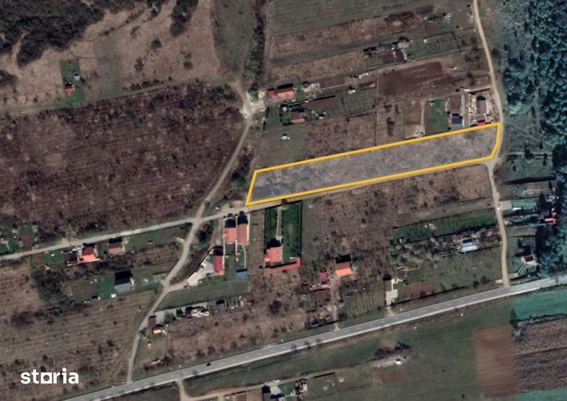 Teren de 8600 mp, în Roșia
