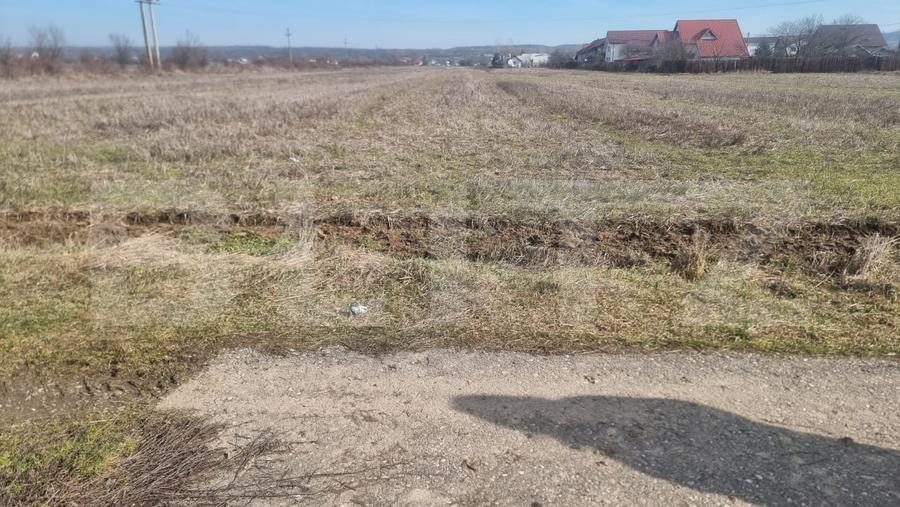 Teren Construcții intravilan de 2240 mp, în Lipănești