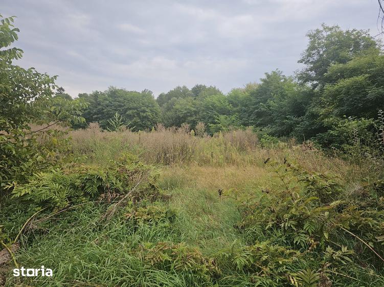 Teren de 3800 mp, în Țițești