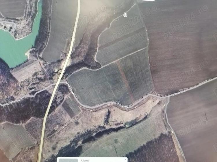 Teren în Albota