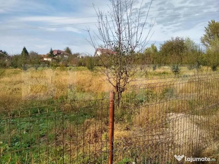 Teren de 4170 mp, în Bercu Roșu
