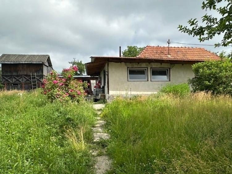 Casă individuală cu 5 camere cu Teren 2650 Mp în Nemoiu