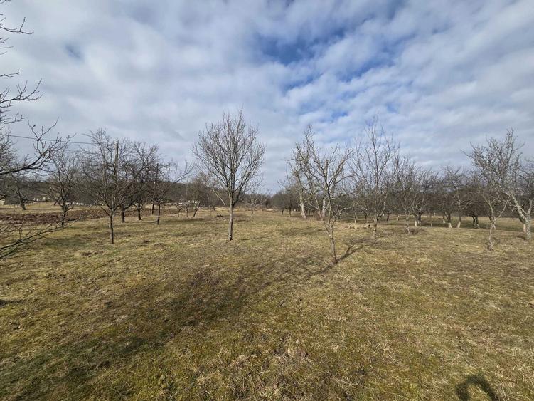 Teren de 3800 mp, în Moigrad-Porolissum