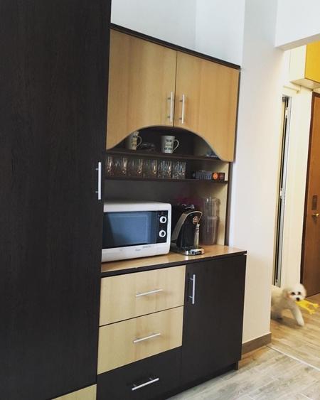 Apartament cu 2 camere decomandat în Nufărul