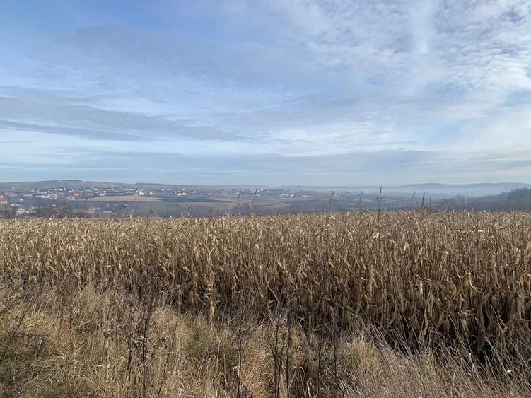 Teren Construcții intravilan de 7800 mp, în Est