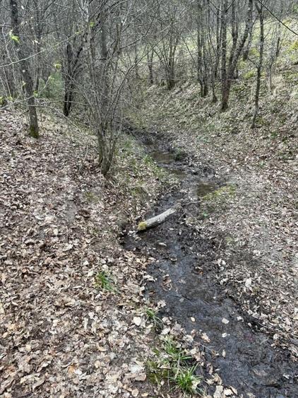 Teren extravilan de 3500 mp, în Aleșd