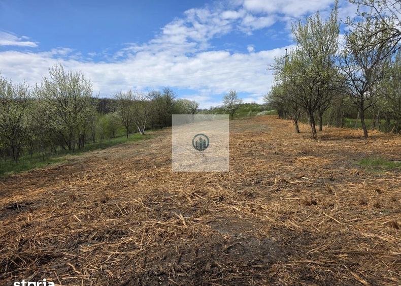 Teren agricol extravilan de 6704 mp, în Hărău