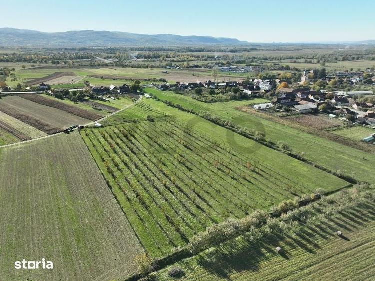 Teren de 14527 mp, în Aușeu