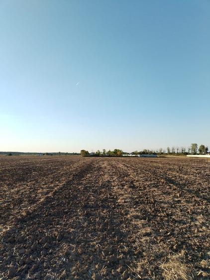 Teren Construcții intravilan de 5000 mp, în Ciolpani