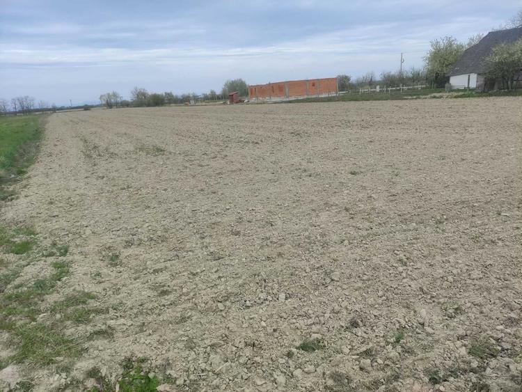 Teren de 6840 mp, în Cionchești