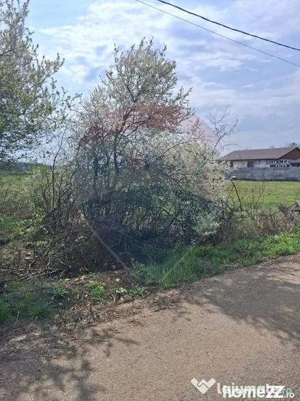 Teren în Santăul Mare