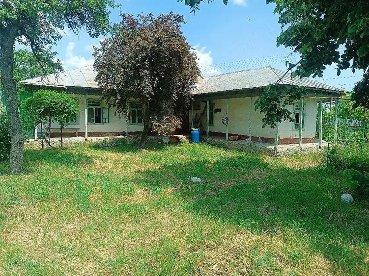Casă cu 4 camere cu Teren 1490 Mp în Tămăoani
