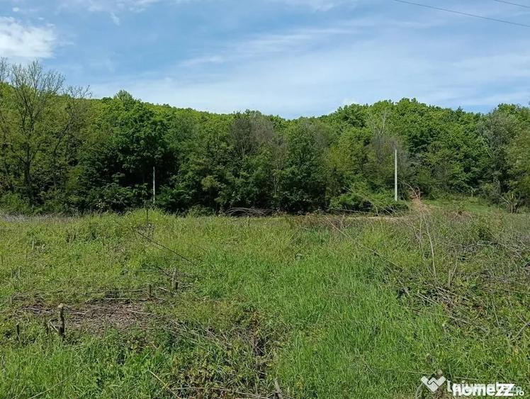 Teren de 1807 mp, în Cocorăștii Mislii