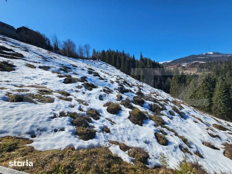Teren de 19992 mp, în Arieșeni