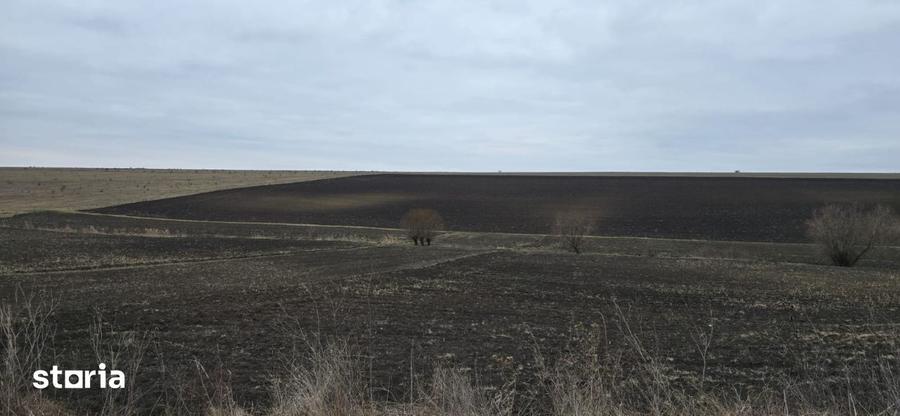 Teren de 3700 mp, în Zăpodeni