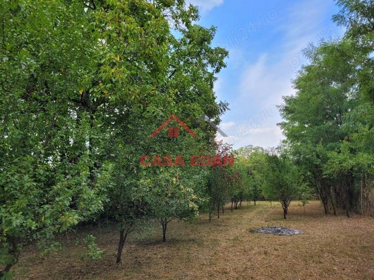 Casă cu Teren 2093 Mp în Bănești