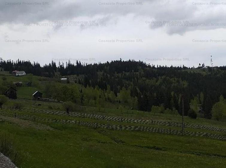 Teren extravilan de 14485 mp, în Iacobeni