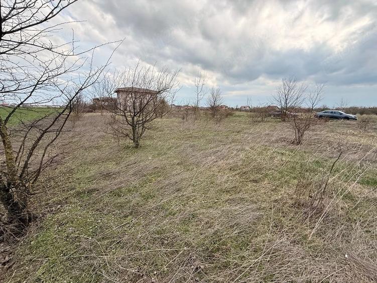 Teren intravilan de vanzare Domne?ti, sat ?eghe? | 652 mp | Ideal dezvoltare reziden?iala - 3