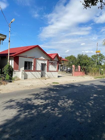 Casă cu 5 camere cu Teren 6700 Mp în Sintești