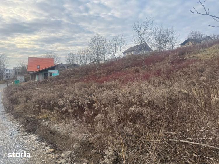 Teren de 1000 mp, în Tudor