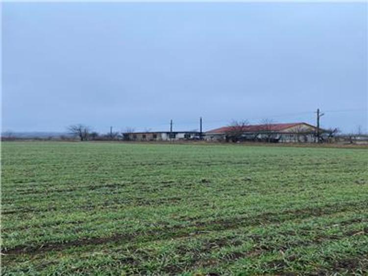 Teren Construcții intravilan de 28000 mp, în Est