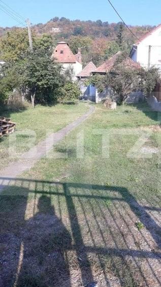 Teren Construcții intravilan de 1624 mp, în Grigorescu