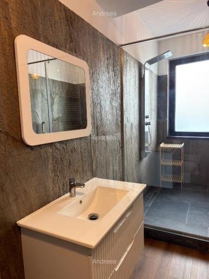 Apartament cu 2 camere semidecomandat, mobilat în Herăstrău