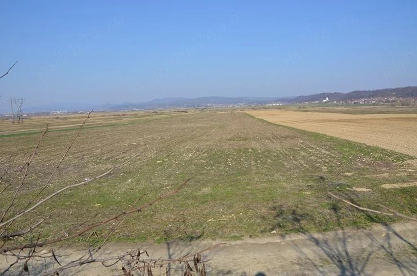 Teren de 45000 mp, în Budești