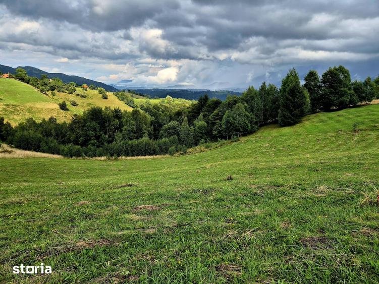TEREN EXTRAVILAN DE VANZARE PE?TERA, MOECIU- INVESTI?IE CU POTEN?IAL - 1