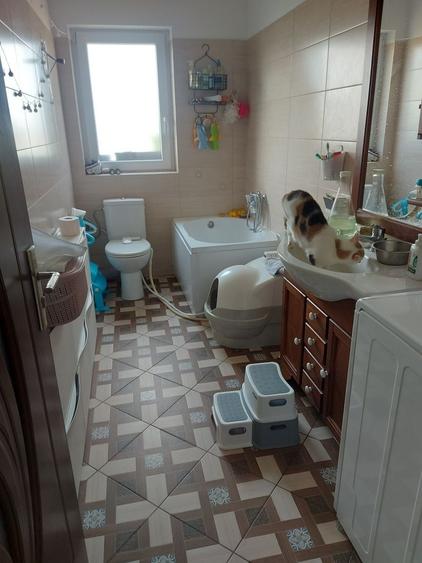 Apartament cu 2 camere semidecomandat în Valea Lupului