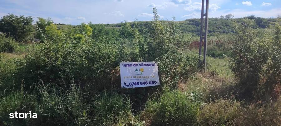 Teren intravilan de vanzare 5.000 mp, Com. Belce?ti (sat Rusi) - 1