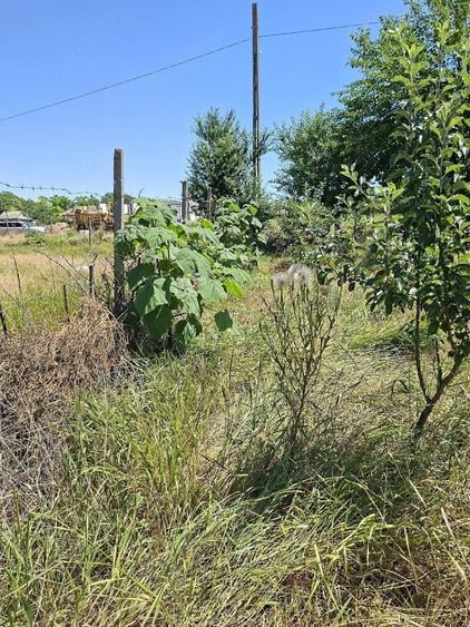 Teren de 2475 mp, în Topraisar