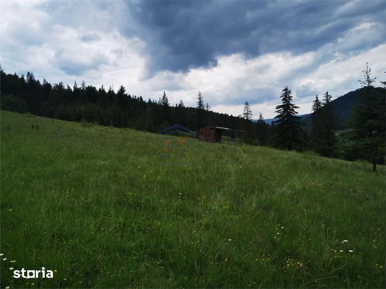Teren de 1000 mp, în Mălini