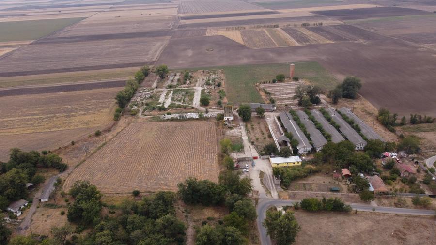 Teren Construcții intravilan de 88.97200012207 mp, în Variaș