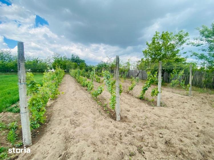 Casă cu 4 camere cu Teren 2753 Mp în Celaru